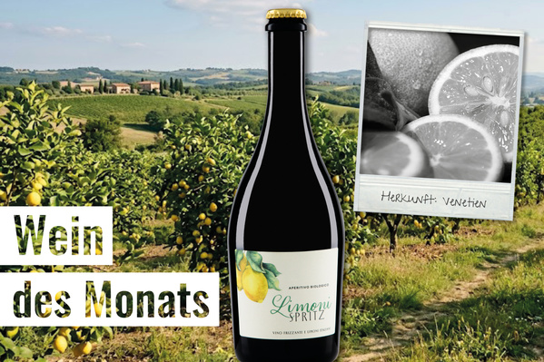 Flasche Limoni Spritz in einem Zitronenfeld. Text: "Wein des Monats", "Herkunft: Venetien".