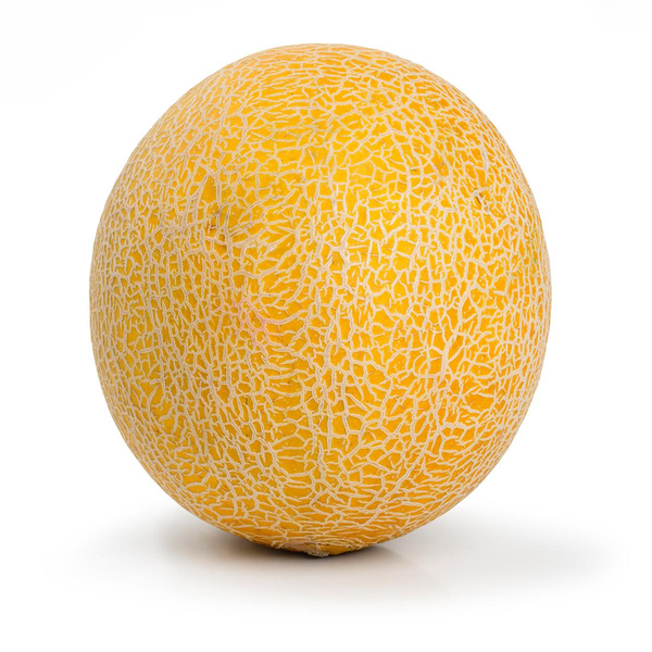 Produktfoto zu Honigmelone Galia kg