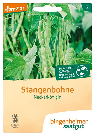 Produktfoto zu Saatgut Stangenbohne Neckarkönigin
