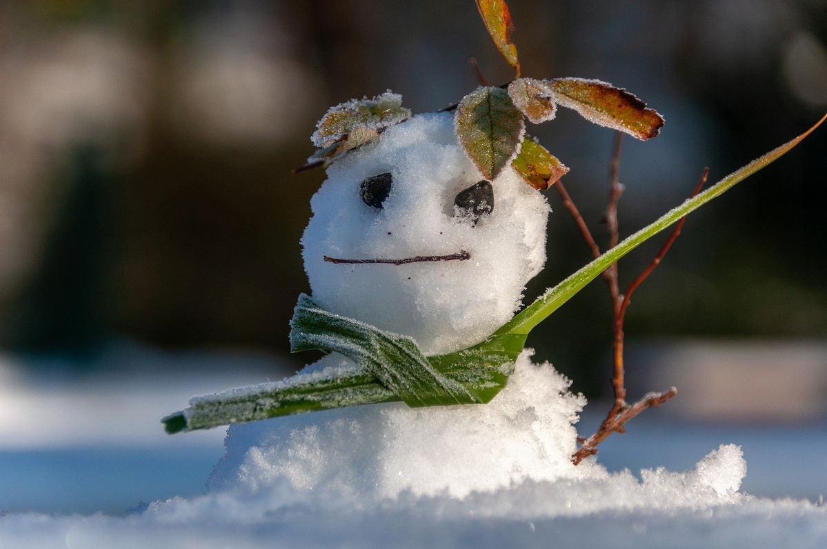 KI generiert: Ein kleiner Schneemann ist mit Blättern als Haaren und einem Grashalm als Schal dekoriert. Er steht auf Schnee und erzeugt eine verspielte Winterstimmung.