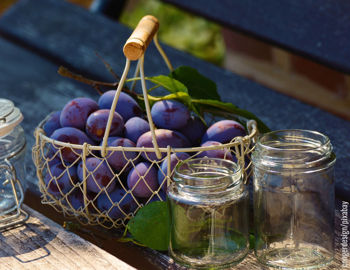KI generiert: Ein Korb voller Pflaumen neben leeren Einmachgläsern auf einem Tisch im Freien.