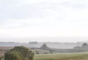 Grünland Bio Lieferant Sonnentor