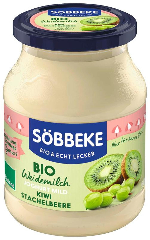 Produktfoto zu Joghurt Kiwi-Stachelbeere 500g