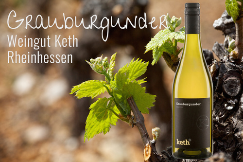 Weinflasche "Grauburgunder" als Bildkomposition im Rebstock