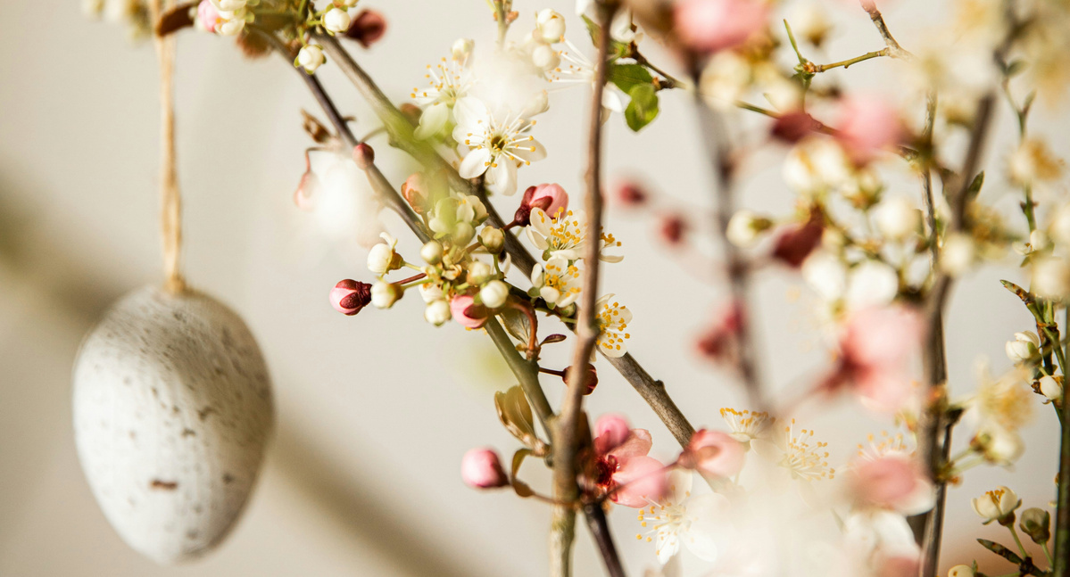 KI generiert: Zweig mit Frühlingsblüten und einem aufgehängten, dekorativen Ei.