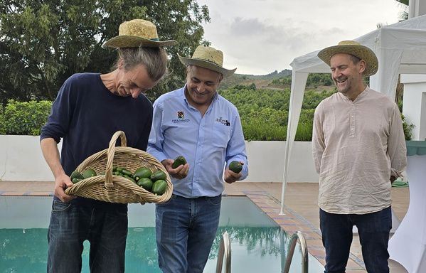 KI generiert: Eine Gruppe von Personen mit Strohhüten steht lächelnd um einen Pool. Eine Person hält einen Korb voller Avocados, während andere neugierig zuschauen.