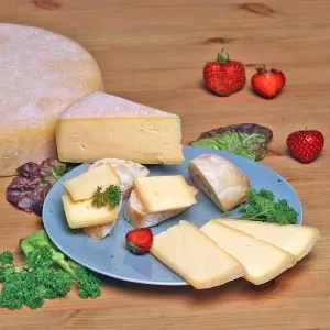 Grünland Bio Lieferant Michaelshof Käse Weidegold