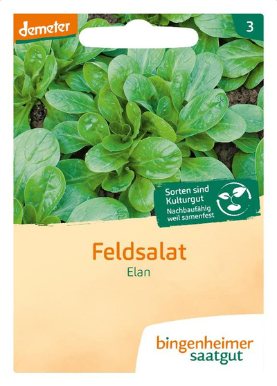Produktfoto zu Saatgut Feldsalat Elan
