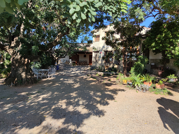 KI generiert: Das Bild zeigt einen idyllischen Garten mit einem großen Baum, unter dem weiße Gartenmöbel stehen. Im Hintergrund sieht man ein Gebäude, das von Pflanzen und Bäumen umgeben ist.