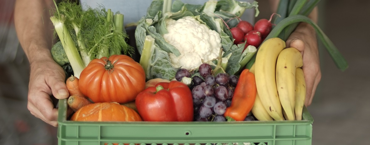 Voll gepackte Biokiste mit Obst und Gemüse wird getragen