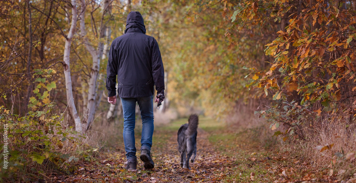 Mann mit Hund von hinten im Herbst beim Waldspaziergang