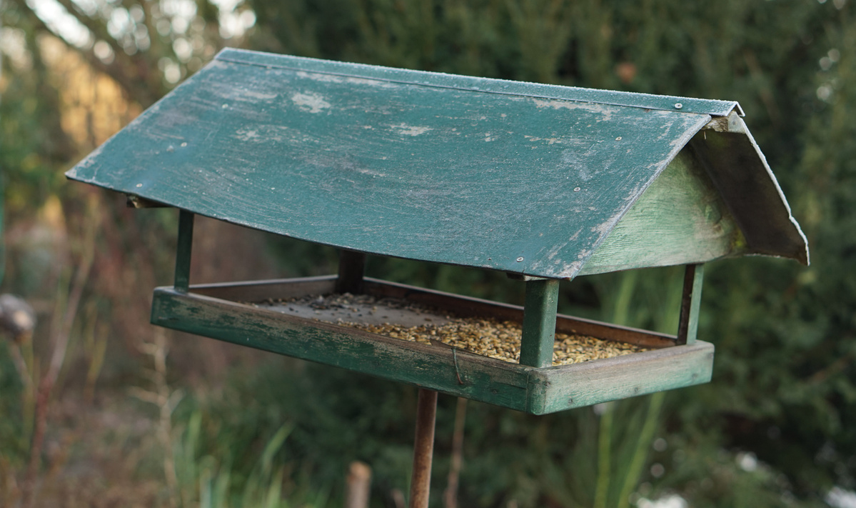 Vogelhäuschen im Wintergarten