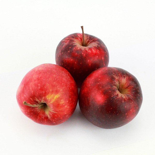 Produktfoto zu Äpfel 'Red Jonaprince'