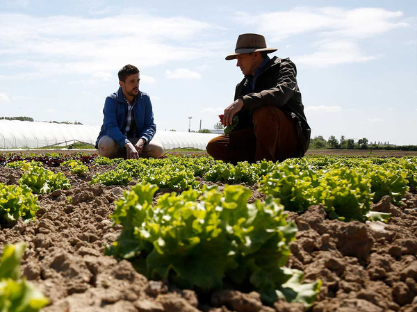 blattfrisch Gründer Georg Neubauer mit Lieferpartner auf Feld