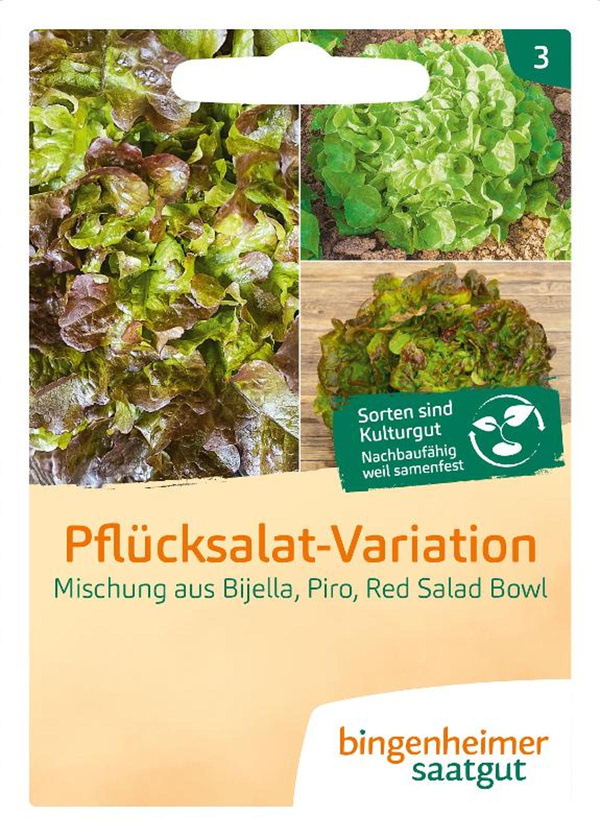 Produktfoto zu Saatgut Salat, Pflücksalatmischung