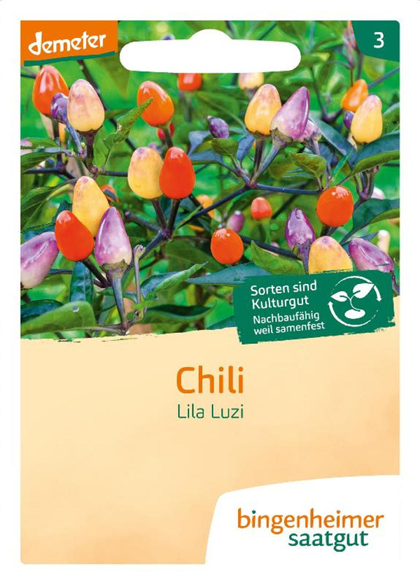 Produktfoto zu Saatgut Chili Lila Luzi