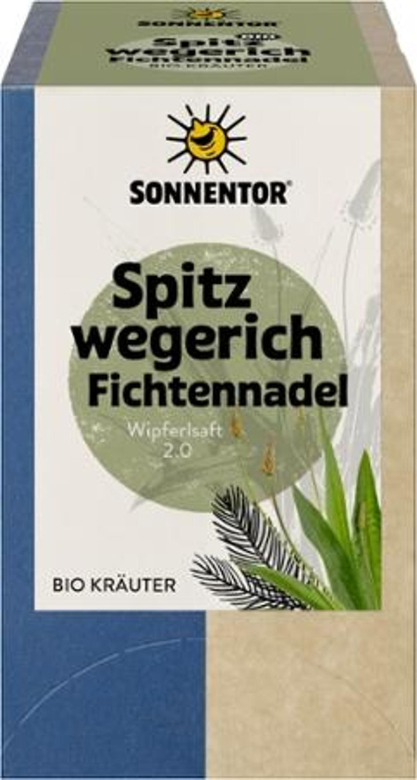 Produktfoto zu Spitzweg.Fichtennadel Teebeutel