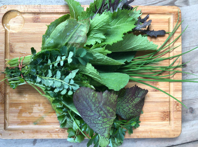 Kräuterbund für Grüne Soße auf Holzbrett