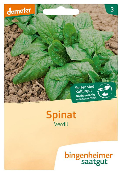 Produktfoto zu Saatgut Spinat Winterriesen Verdil