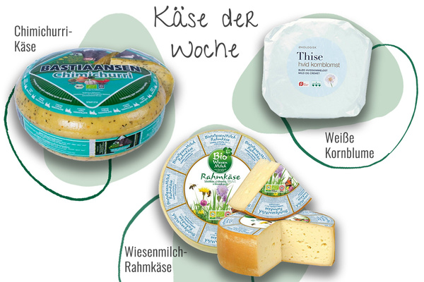 Drei Käsesorten aus der Abokiste in einem Bild