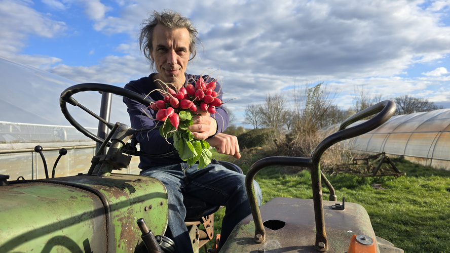 KI generiert: Ein Mann sitzt auf einem Traktor und hält ein Bündel Radieschen in der Hand.