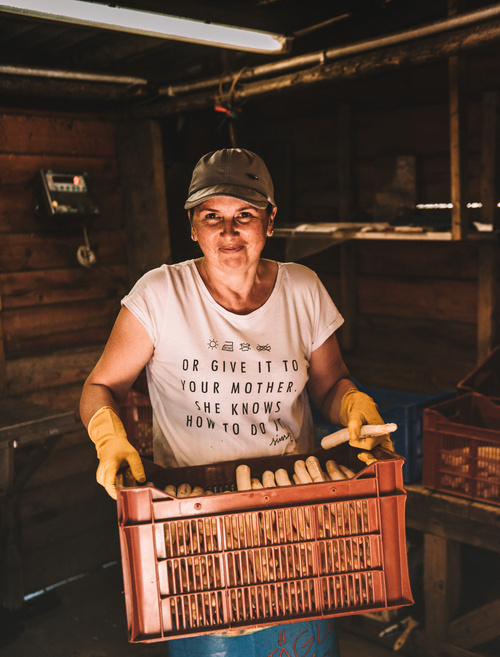 KI generiert: Eine Frau hält eine Kiste mit Karotten in einer Scheune. Text auf ihrem T-Shirt: "OR GIVE IT TO YOUR MOTHER..."