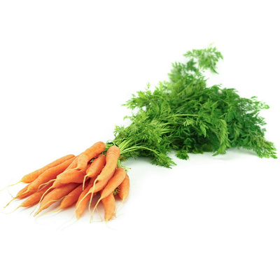 Produktfoto zu Regionale Bundmöhren