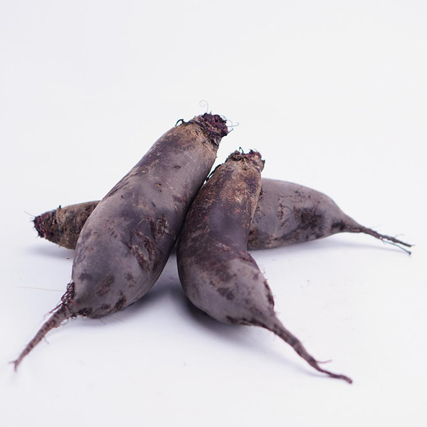 Produktfoto zu Längliche Rote Bete