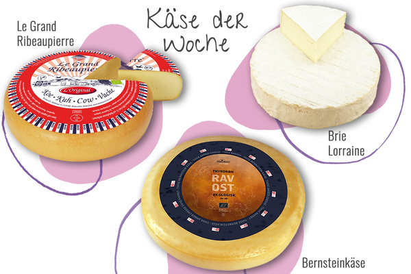 KI generiert: Drei Käsesorten auf einem Bild: Le Grand Ribeaupierre, Brie Lorraine, Bernstein Käse. Text: "Käse der Woche".