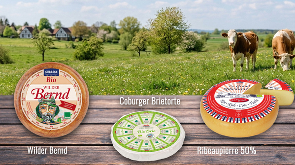 Unser Käse-Trio der Woche: Verschieden Käsesorten in einer Bildermontage