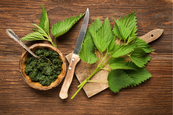 Brennesselblätter und Brennesselpesto in Schälchen auf Holzplatte