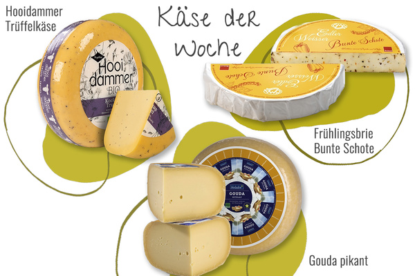 KI generiert: Verschiedene Käsesorten: Hooidammer Trüffelkäse, Frühlingsbrie Bunte Schote, Gouda pikant. "Käse der Woche".