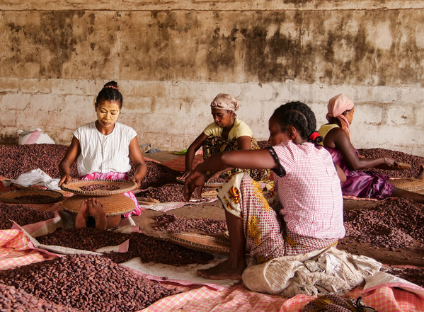 Grünland Bio Lieferant Zotter Handselektierter Kakao aus Madagaskar