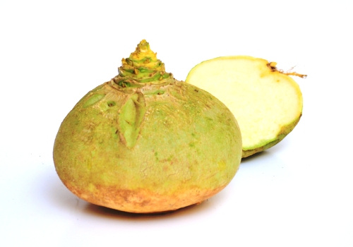 Steckrübe