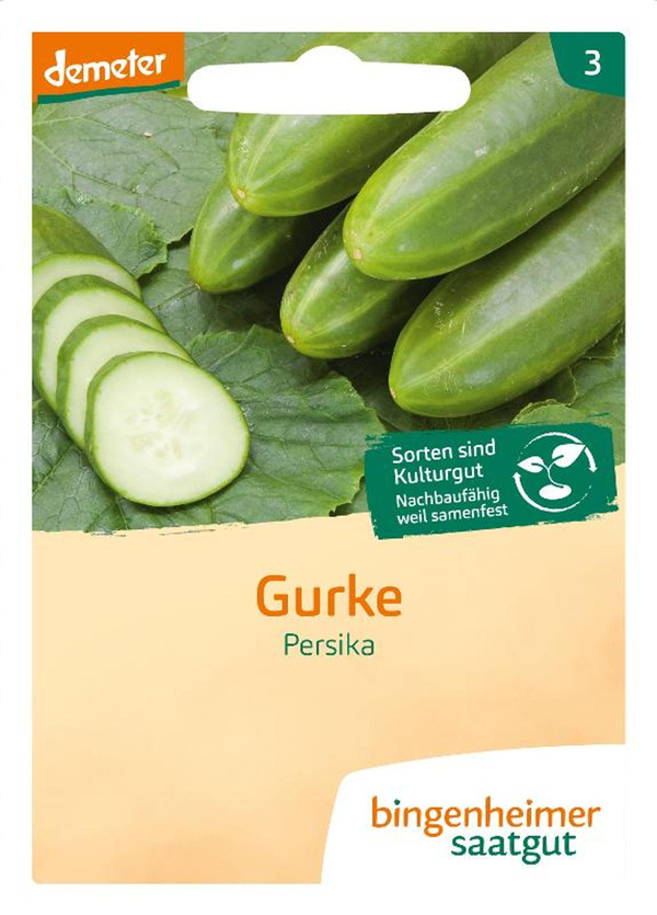 Produktfoto zu Saatgut Freilandgurke Persika