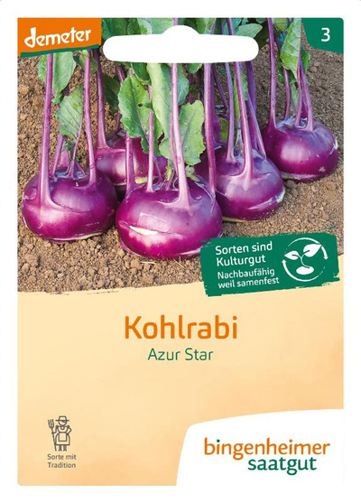 Produktfoto zu Saatgut Kohlrabi Azur Star