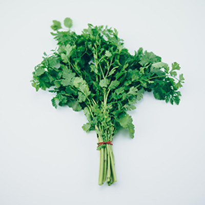 Produktfoto zu Koriander