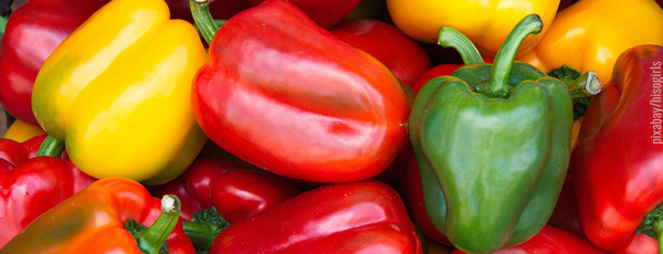 Parika rot, gelb und grün