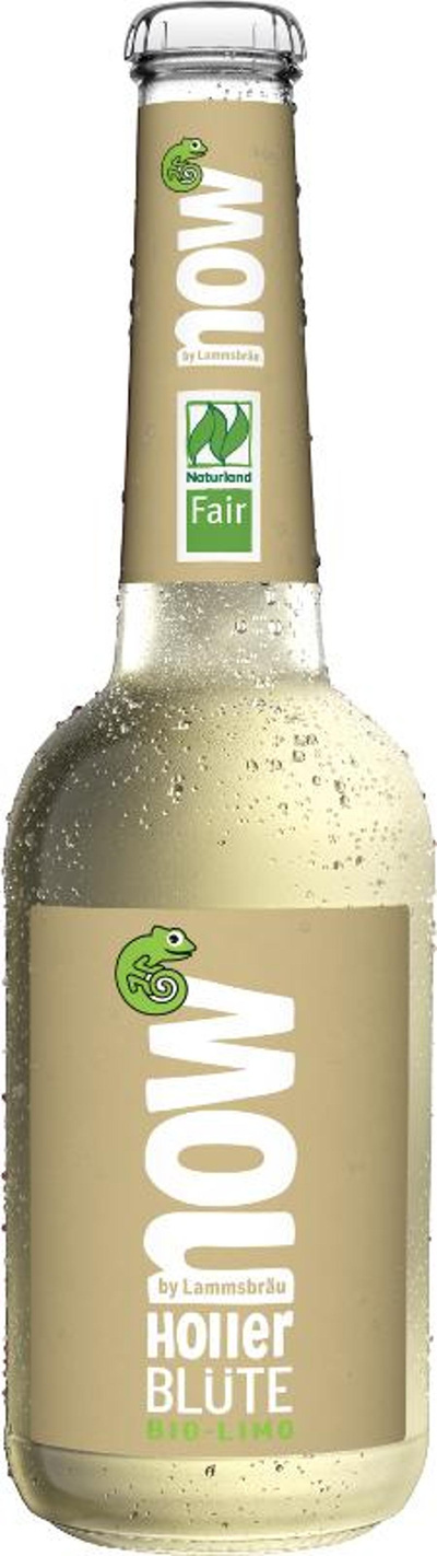 Produktfoto zu now - Holler Blüte 0,33l