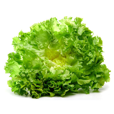 Produktfoto zu Endivien Salat klein