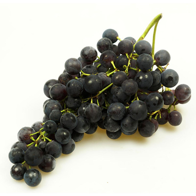 Produktfoto zu Trauben blau