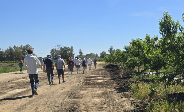 KI generiert: Eine Gruppe von Menschen geht einen ländlichen Weg entlang bei sonnigem Wetter.