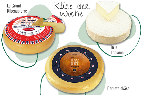KI generiert: Drei Käsesorten: Le Grand Ribeaupierre, Brie Lorraine, Bernstein. Text: "Käse der Woche".