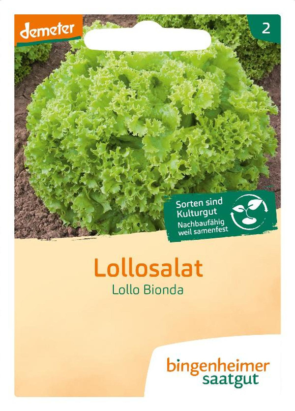 Produktfoto zu Saatgut Lollosalat Lollo Bionda