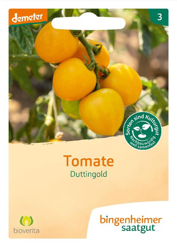 Produktfoto zu Saatgut Tomate Duttingold