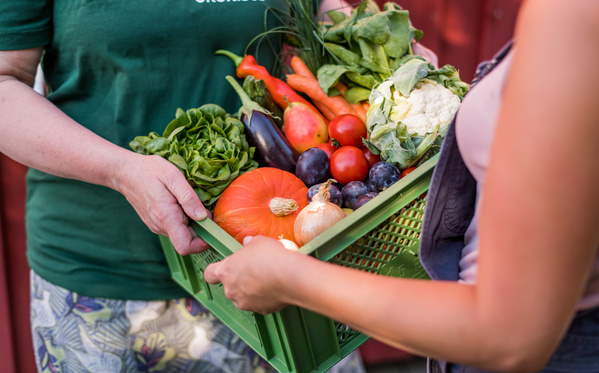 Anlieferung einer Biokiste mit frischem Gemüse aus der Region