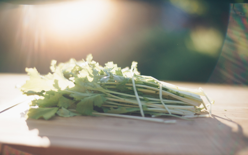 Verschiedene Obst- und Gemüsesorten auf weißem Hintergrund.