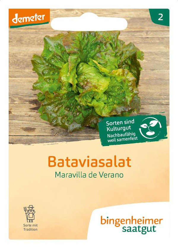 Produktfoto zu Saatgut Bataviasalat, Maravilla de Verano