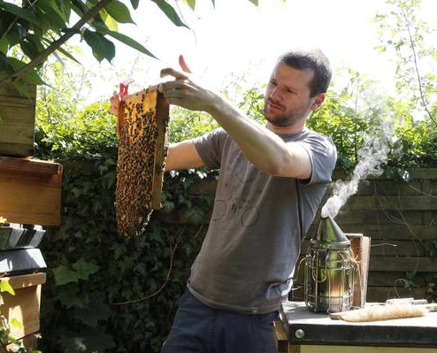 KI generiert: Ein Imker untersucht eine Bienenwabe mit Bienen im Freien. Daneben steht ein Rauchapparat.
