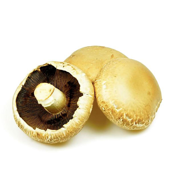 Produktfoto zu Portabella 'Gemüsechampignon zum Füllen'
